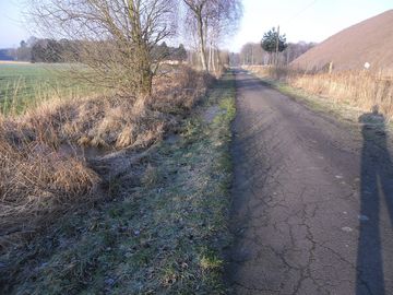 Grundwasserhochstände im Umfeld der Halde