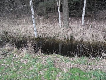 Grundwasserhochstände im Umfeld der Halde