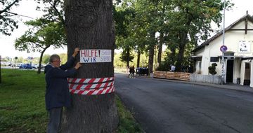 Die alten Eichen vor dem Späti sollen weichen