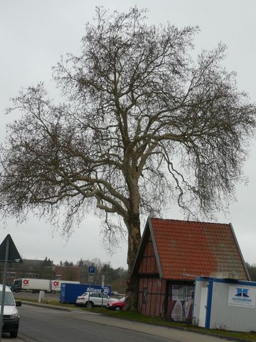 Schützenplatz Celle, vorher