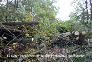 Nach Sturmschaden in Mathieshagen