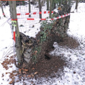 Ameisen-Probenahme am 16.2.2021